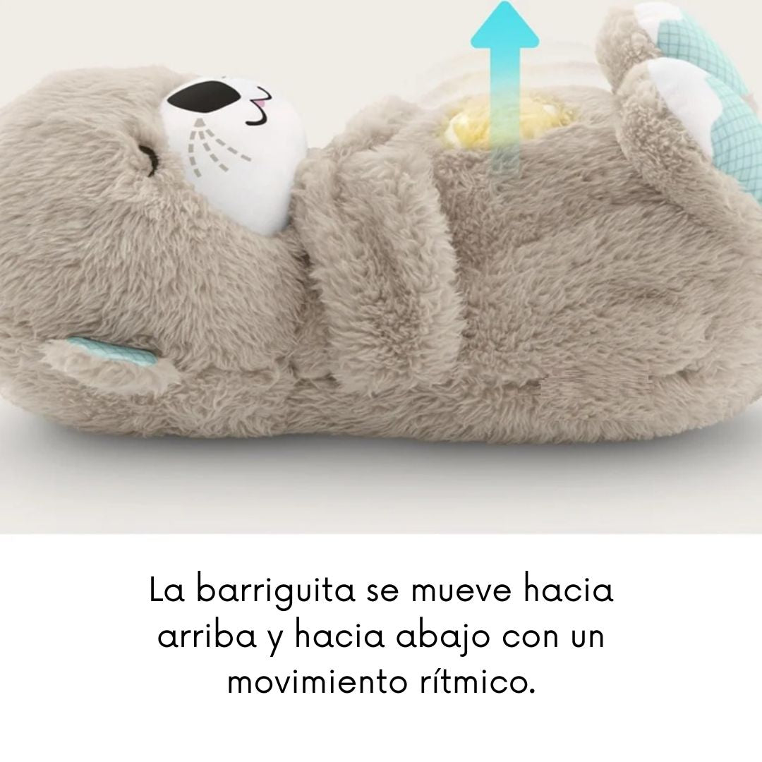 DORMI NUTRIA PREMIUM + REGALO