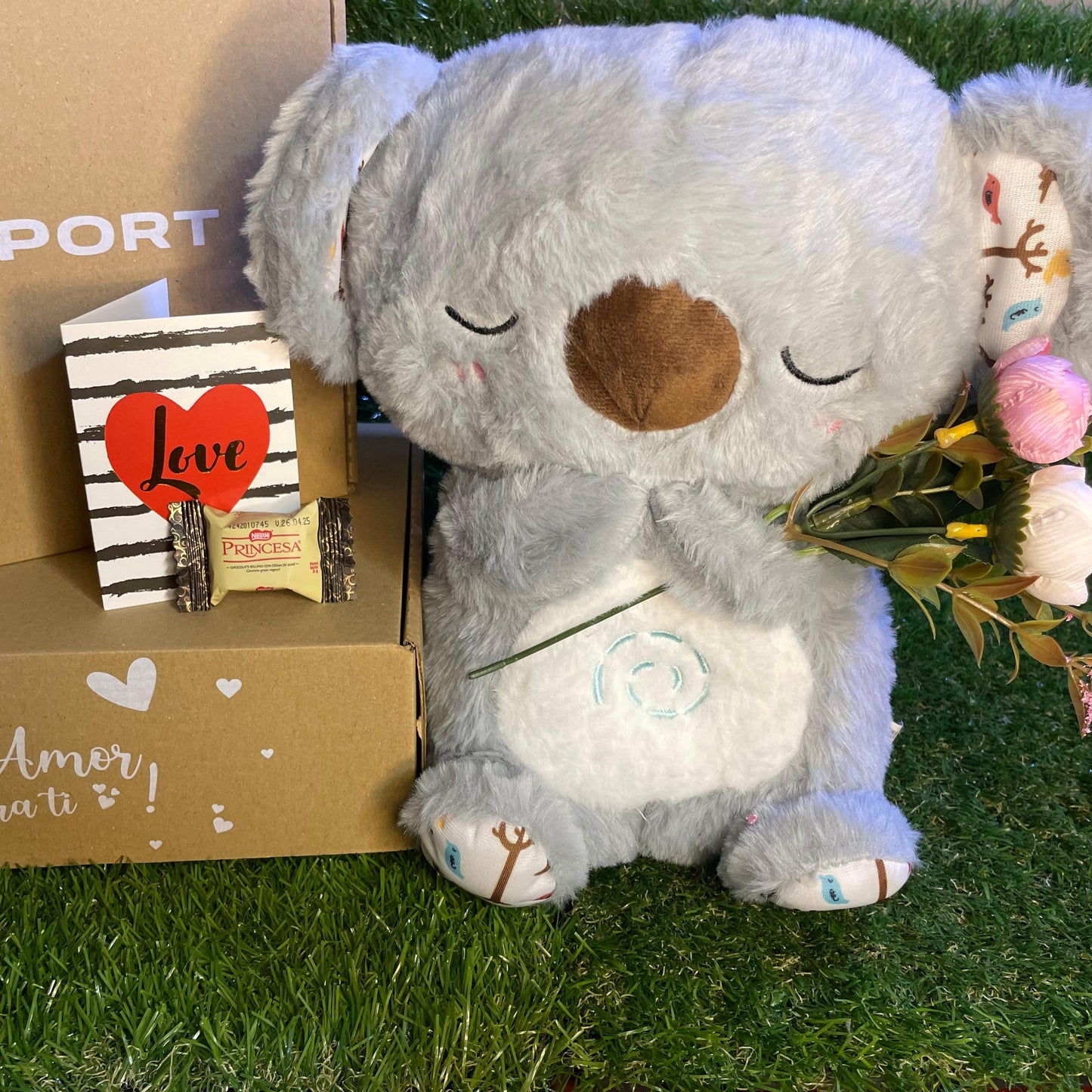 BOX KOALA PREMIUM