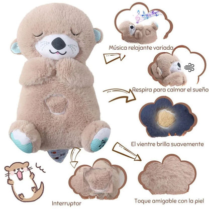 DORMI NUTRIA PREMIUM + REGALO